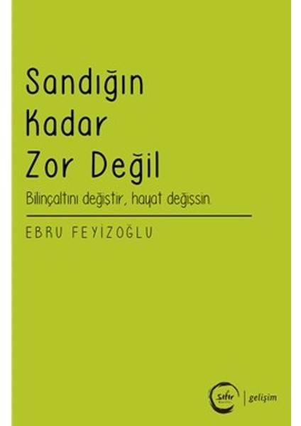 Sandığın Kadar Zor Değil - Ebru Feyizoğlu