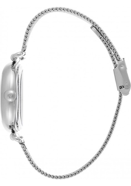 CW280S-02SS Kadın Kol Saati fiyatları