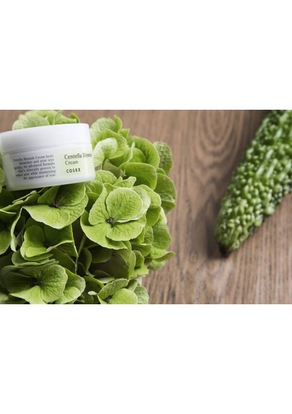 Centella Blemish Cream - Centella Ekstreli Krem