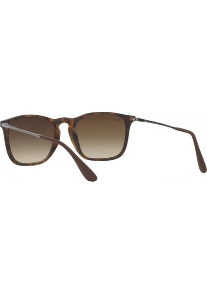 RB 4187 856/13 54 Chris Unisex Güneş Gözlüğü