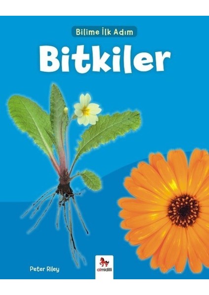 Bilime İlk Adım Bitkiler - Peter Riley