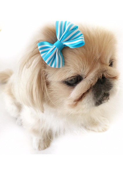 Toka By Stripe Serisi Mavi Köpek Tokası