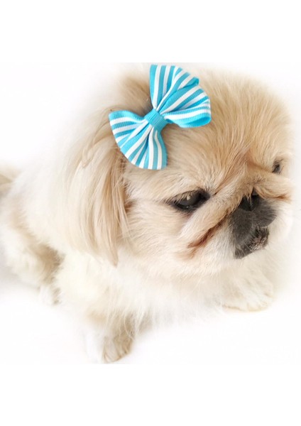 Toka By Stripe Serisi Mavi Köpek Tokası indirimleri