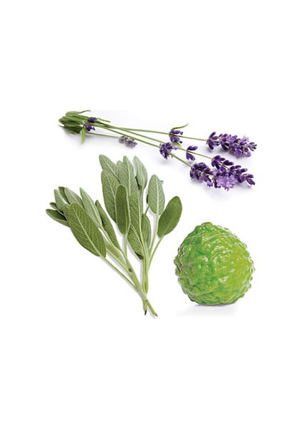 Mınd Clear Difüzör (Buhurdanlık) Yağ 9 Ml modelleri