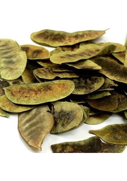 Açlık Otu 100 gr