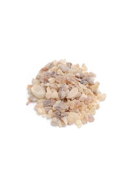 Günlük Sakızı 100 gr