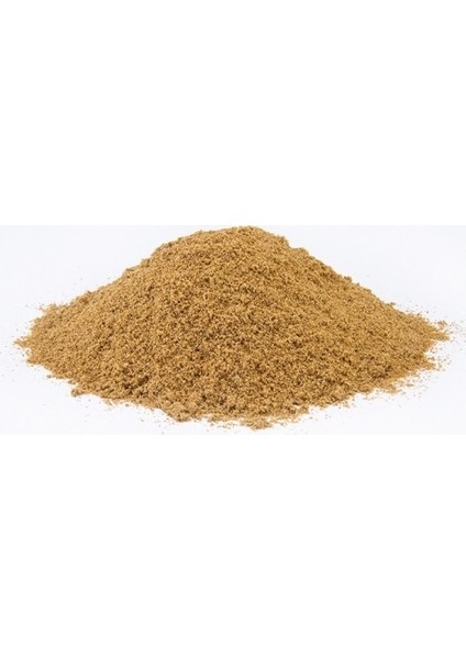 Toz Tarçın 100 gr