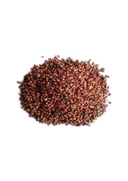 Üzüm Çekirdeği 100 gr