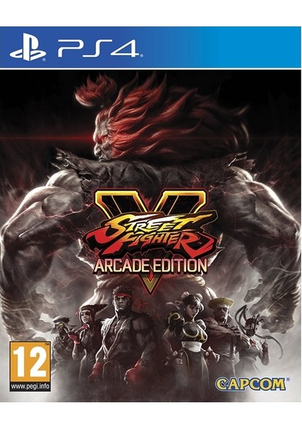 Street Fighter V Arcade Edition PS4 Oyun