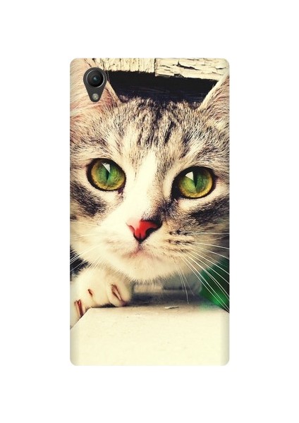 Sony Xperia Z5 Kedi Baskılı Kapak Kılıf + Ekran Koruyucu Cam