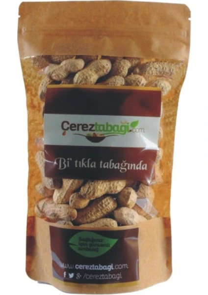 Çerez Tabağı Kavrulmuş Kabuklu Fıstık 500 gr