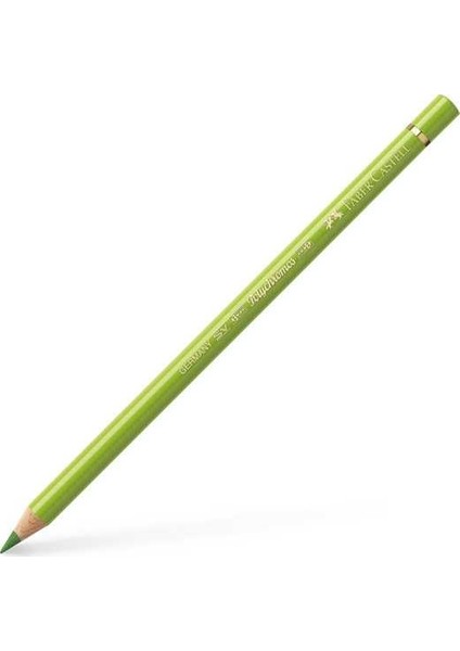 Polychromos Kuru Boya Kalemi 170 May Green