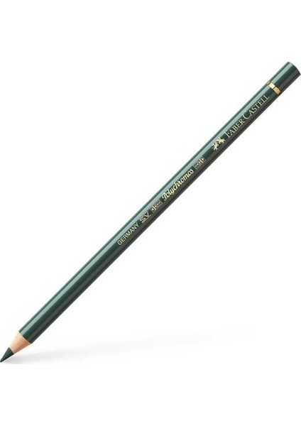 Polychromos Kuru Boya Kalemi 165 Juniper Green