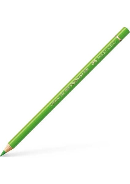 Polychromos Kuru Boya Kalemi 166 Grass Green