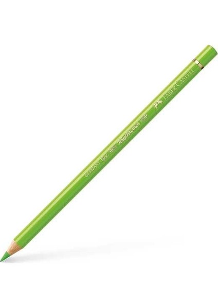 Polychromos Kuru Boya Kalemi 171 Light Green