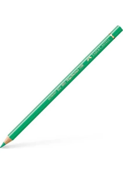 Polychromos Kuru Boya Kalemi   162 Light Phthalo Green