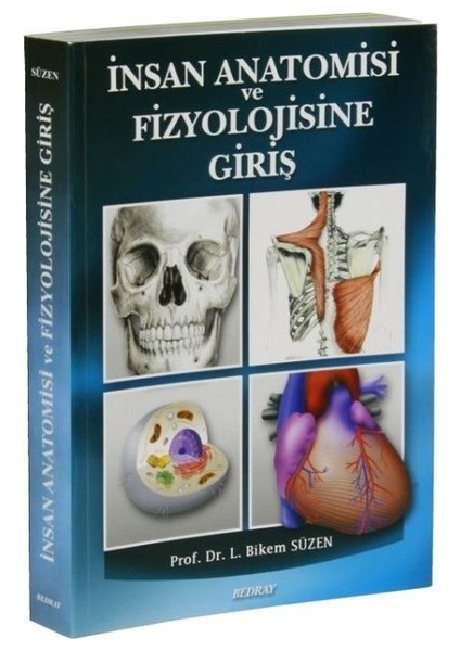 İnsan Anatomisi Ve Fizyolojisine Giriş