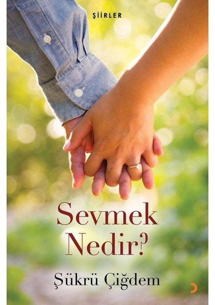 Sevmek Nedir? - Şükrü Çiğdem