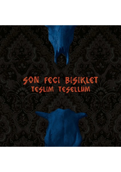 Son Feci Bisiklet - Teslim Tesellüm - Single Plak