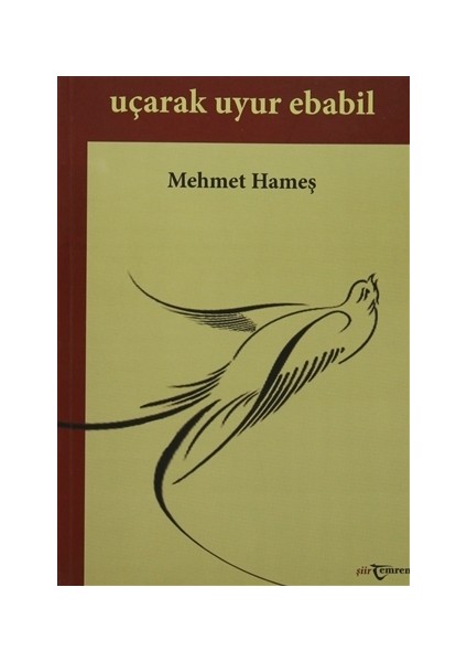 Uçarak Uyur Ebabil