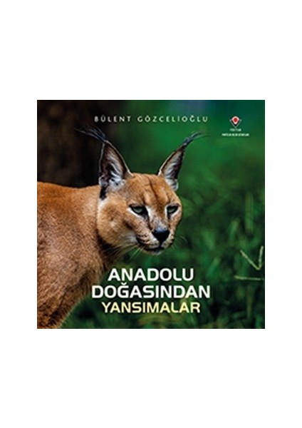 Anadolu Doğasından Yansımalar