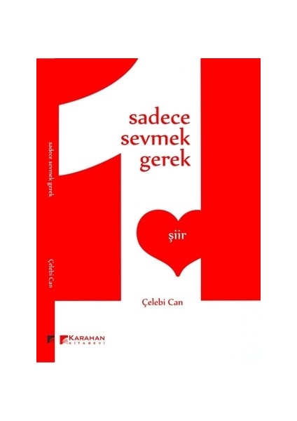 Sadece Sevmek Gerek