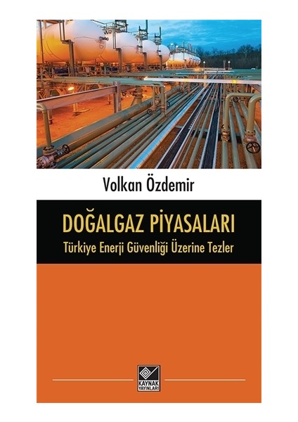 Doğalgaz Piyasaları - Türkiye Enerji Güvenliği Üzerine Tezler