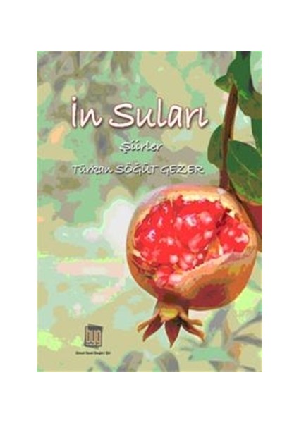 İn Suları