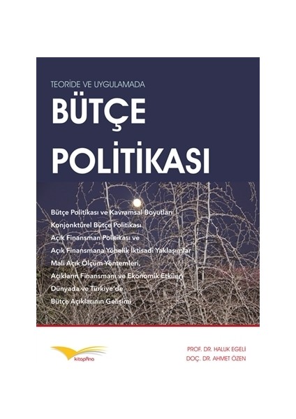 Teoride ve Uygulamada Bütçe Politikası