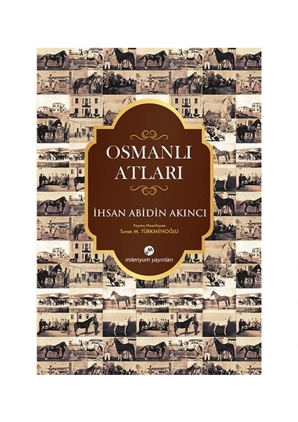 Osmanlı Atları