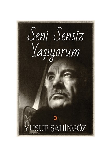 Seni Sensiz Yaşıyorum