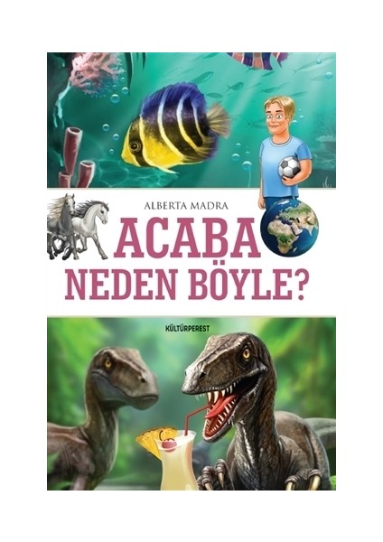 Acaba Neden Böyle?