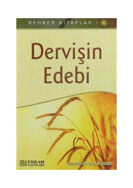 Dervişin Edebi