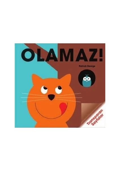 Olamaz!