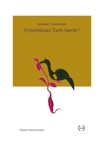 Entelektüel Tarih Nedir?