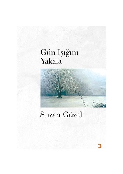 Gün Işığını Yakala