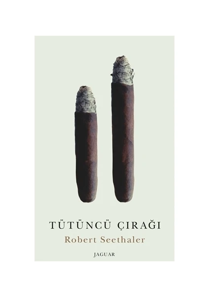 Tütüncü Çırağı - Robert Seethaler