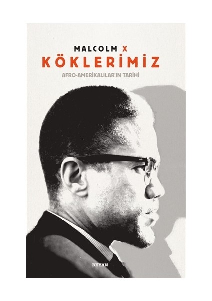 Köklerimiz: Afro - Amerikalılar'ın Tarihi