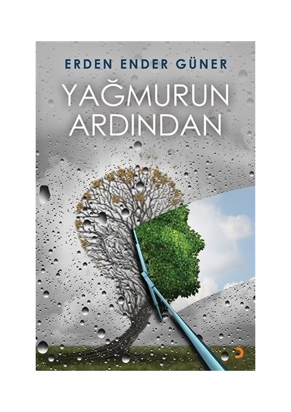 Yağmurun Ardından