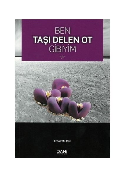 Ben Taşı Delen Ot Gibiyim