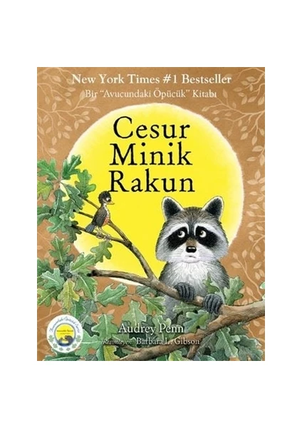 Cesur Minik Rakun