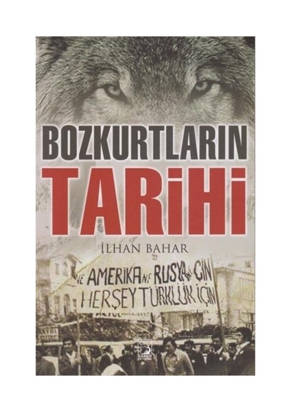 Bozkurtların Tarihi