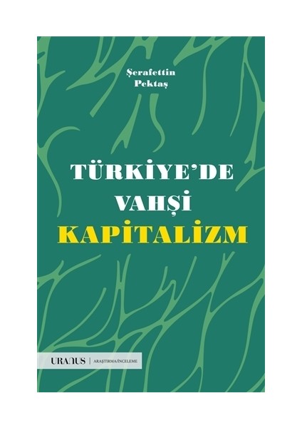 Türkiye’de Vahşi Kapitalizm