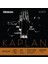 KA311 4/4M Kaplan Amo Keman Teli (E) 1