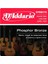 EPBB170 Akustik Bas Gitar Teli (45-100) 1
