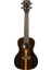 KA-ZCT-C Ziricote Concert Ukulele 1