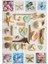 Puzzle 1000 Parça Deniz Kabukları 17658 1