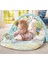 Fisher Price Kelebekli Rüyalar Müzikli Jimnastik Merkezi DYW46 2