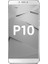 P10 Gri 1