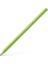 Polychromos Kuru Boya Kalemi 171 Light Green 1